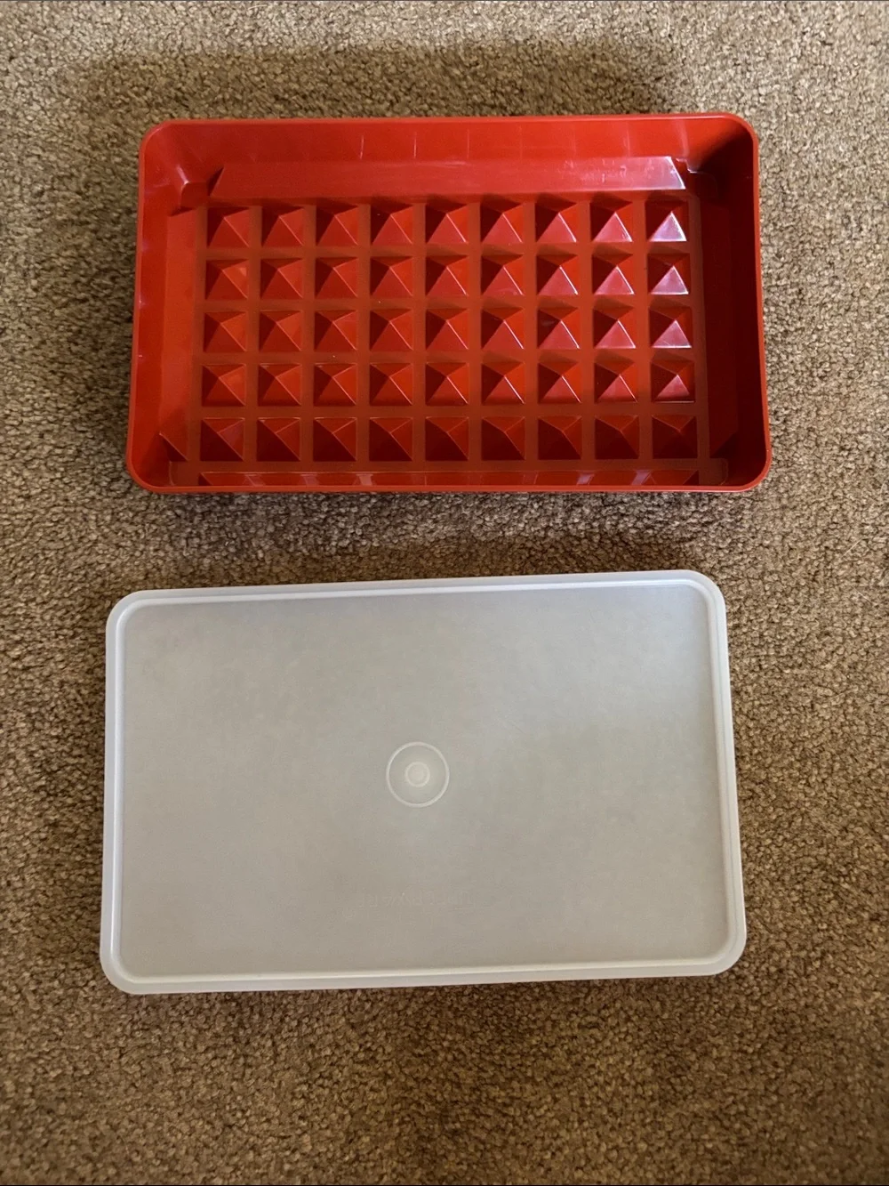 Tupperware Marinade with Frosted Lid